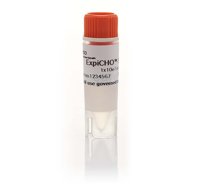 ExpiCHO-S™ Cells, 6-vial "Cell Bank" pack