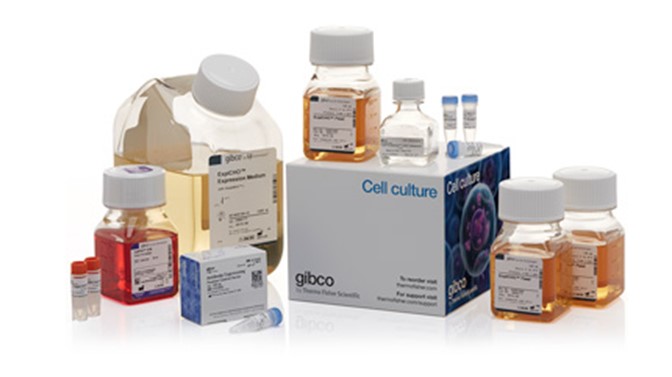 ExpiCHO™ Expression System Kit