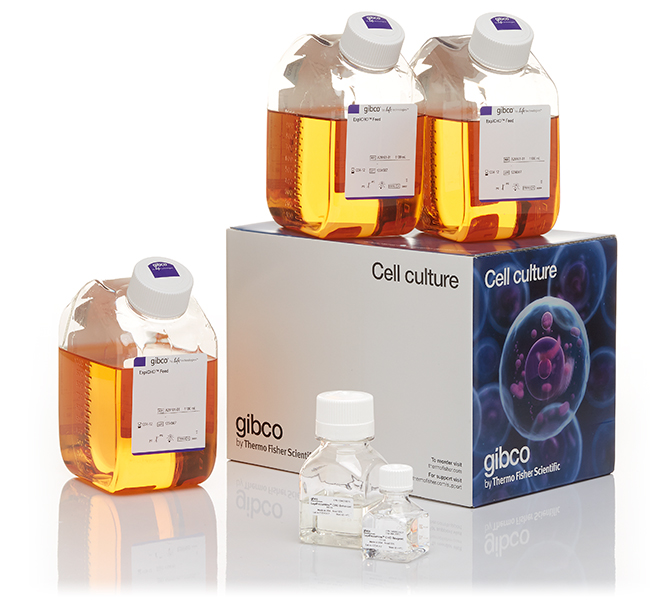 ExpiFectamine™ CHO Transfection Kit, for 50 L of culture