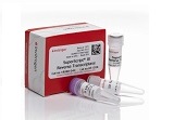 SuperScript® III Reverse Transcriptase