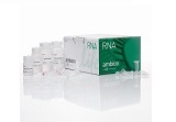 PureLink® RNA Mini Kit