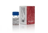 Dynabeads® MyOne™ Streptavidin C1