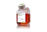 0.25% Trypsin-EDTA (1X), Phenol Red