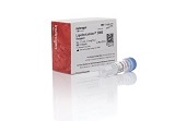 Lipofectamine® 2000 Transfection Reagent