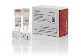 SuperScript® IV Reverse Transcriptase