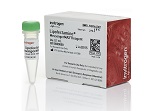 Lipofectamine® MessengerMAX™ Transfection Reagent