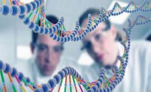 医药生物行业:精准医疗列入国家重点研发计划