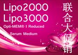 Lipo2K&3K、血清培养基联合促销