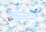 “星”推荐：RNA稳定和储存溶液RNAlater®