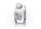 UltraPure™ DNase/RNase-Free Distilled Water