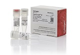 SuperScript® IV Reverse Transcriptase